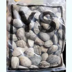 피바지락 600g X26 바지락살 냉동수산물 수산물 자숙바지락 박지락살