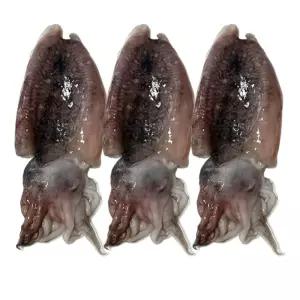 국내산 냉동 손질 갑오징어 꼬마 500g