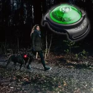 [반려] 산책 1P 야간 애견 플래시 그린 안전등 세이프 강아지