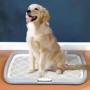 [반려] 매트 훈련 배변 반려견 배변판 강아지 마킹 화장실 소변