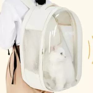 [반려] 백팩 고양이 외출 강아지 이동가방 투명 대중교통