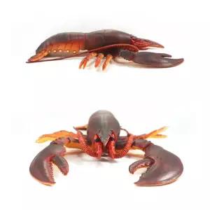 말랑말랑 실감나는 가재 모형 어린이날 동물모형 유아용장난감 유아완구 피규어