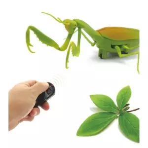 남아 사마귀 무선조종 RC 완구 어린이 동물작동완구 조카선물 유치원장난감 무선조정