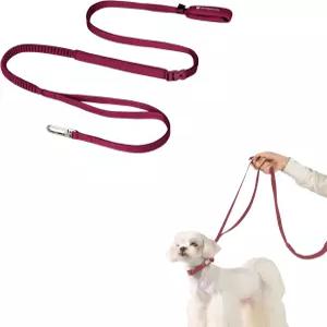 핸즈프리 개 목줄 조절 가능한 다용도 크로스바디 허리 반사 편안한 패딩 핸들 충격 흡수 소형 대형견용