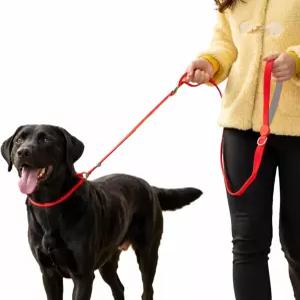 이중 손잡이가 있는 EVERKING 헤비 듀티 슬립 리드 개 목줄 360 회전 방지 엉킴 대형 중형 및 소형견을