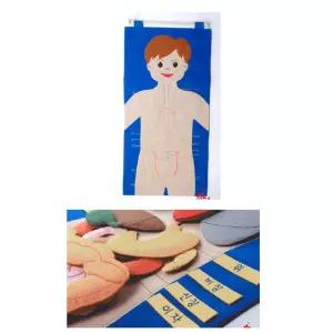 신체기관 배우기 벨크로 벽보 어린이날 아기방꾸미기 유아벽보 아기방포스터 학습벽보