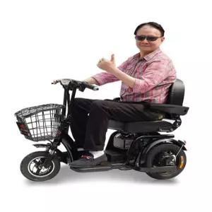 노인 전동차 스쿠터 보조기기 01레드250W 어르신 장애인 24V12Ah 유모차 기준판-레드250W24V 12Ah