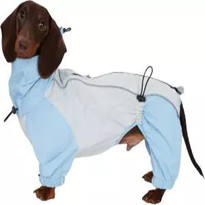 다리 달린 닥스훈트 강아지 레인코트 방수 전신 재킷 소형 및 중형견용 후드 아웃도어 윈드브레이커 미니