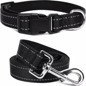 소형 중형 대형견을 위한 부드러운 네오프렌 패딩 도그 칼라 및 목줄 세트 걷기 쉬운 5피트 있는 반사