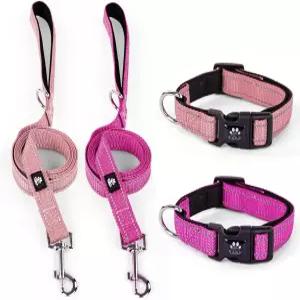 비앤레인 2팩 반사형 반려견 목걸이 및 목줄 세트 강아지용 조절 가능한 네오프렌 패딩 소형 중형견용