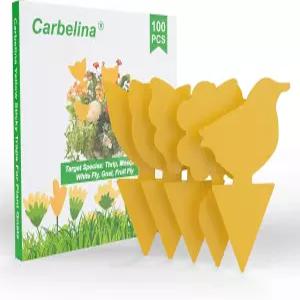 실내용 카벨리나 초파리 트랩 식물용 냇트 곰팡이 스틱 100개 무독성 무취 채소 과일 무해합니다