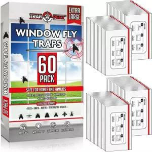 창문 플라이 트랩 실내 투명 60팩 스티키 무독성 파리 스트립 페이퍼 벌레 8.25인치 x 5인치
