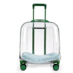 백팩 애견 강아지 투명 이동장 가방 고양이