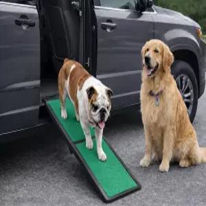 반려견과 반려묘를 위한 펫 기어 슈퍼트라엑스 램프 최대 접지력 휴대용/이지폴드(도구 필요 없음) 여행용