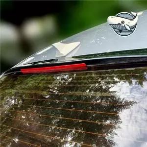 [알티피아]스포일러 튜닝 몰딩 리어 글라스 날개 루프