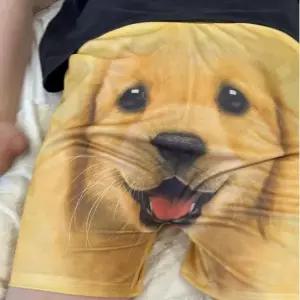 신박한선물 낭만파티 쓸데없는선물 쓸모없는선물 강아지 반바지