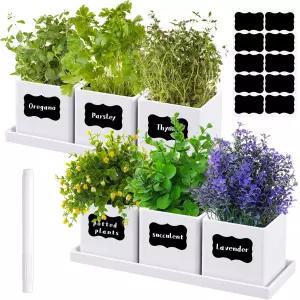 림시리얼 6개 허브 정원 화분 세트 배수 기능이 있는 키트 실내 플라스틱 식물 및 접시 다육 선인장 채소