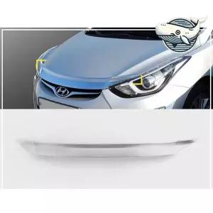 크롬 본넷 가드 커버 엣지 있는 차량 보호장치