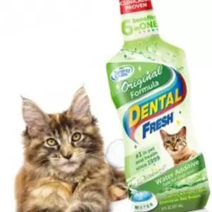 섞는 덴탈 오리지널 캣 치약 물에 후레쉬 고양이 VW2B3A39