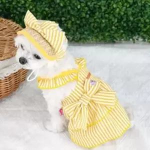 [반려] 세트 외출 스트라이프 드레스 옐로우 모자 1P 강아지