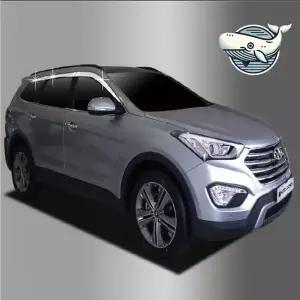 [골드스마일]맥스크루즈 크롬 도어바이저 6개 고급 커튼형