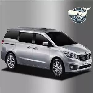 [골드스마일]올뉴카니발 용도별 크롬 도어바이저 4개