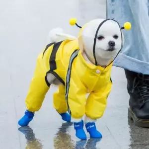 [반려] 강아지옷 꿀벌 우비