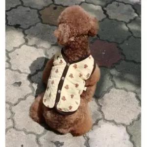 [반려] 보온 조끼 배색 산책 강아지 여우 옐로우 실내 1P 2XL