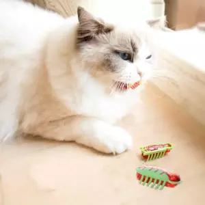 팻다 고양이 장난감 티저 인터랙티브 미니 전자 로봇 딱정벌레 재미있는 실내 위한 벌레 교육용 놀이 추격