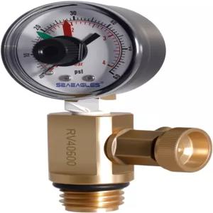 SeaEagles 98209800 에어 릴 밸브 풀 필터 시스템과 호환 - FNS 클린 앤 클리어 쿼드 DE 4000 시리즈 I