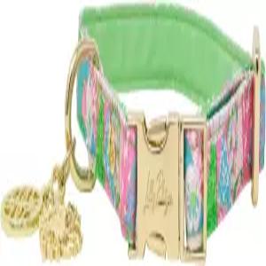 릴리 퓰리처 애완동물 목걸이 소형/중형 귀여운 프린트 조절 가능한 나일론 개 골드 메탈 버클과 매력