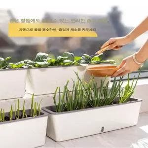 수경재배기 가정용 식물재배기 식물 상추