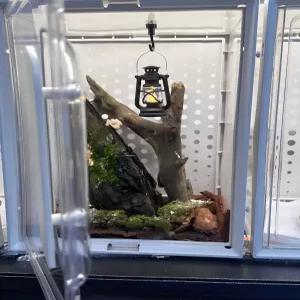 진심글로벌 다흰도마뱀선반 사육박스 조명 도마뱀