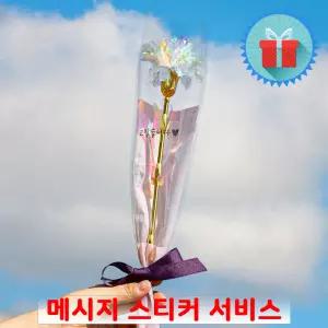 심플포장 메시지 홀로그램 카네이션 한송이 꽃다발 스승의날 어버이날 감사선물