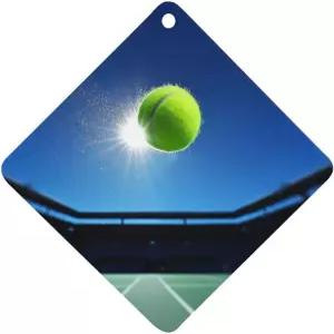 LFDSEPYM 자동차 공기 청정기 에어 양면 아로마테라피 태블릿에 테니스 공용 향 카드 걸어두기 침실 옷장