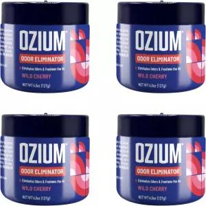 오지움 냄새 제거 젤 연기 반려동물 및 퀴퀴한 대한 4.5온스 방향제 대체품 자동차 가정 옷장 작은 공간을