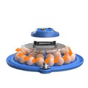 스마트 계란 메추리 자동 완전 부화기 인큐베이터 조류 계란부화기