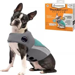 개를 위한 썬더셔츠 브리즈 X소형 아쿠아 통기성이 뛰어난 메쉬 원단 천둥 폭풍과 불꽃놀이 동안의