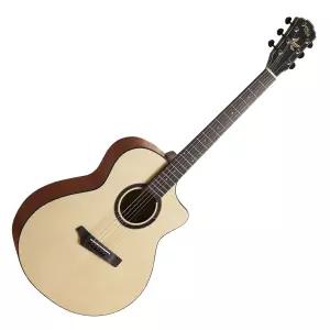 고퍼우드 i160C입문용 통기타