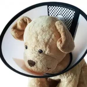 목보호대 7호 반려동물 위생용품 넥카라