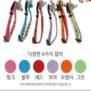 조이프랜드 목걸이 15mm -10개 한세트 목줄 목 산책