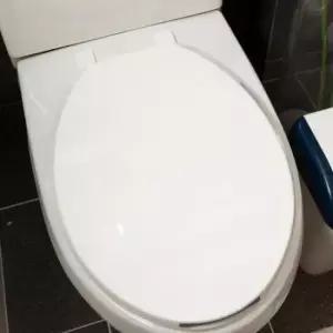 간편설치 하드 변기커버 대형 무소음 변기 DY-458