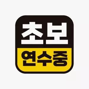 초보 연수중2 고휘도반사 자석 자동차스티커