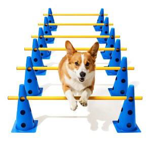 루파 개 민첩성 코스 뒷마당 세트, 재활 및 초보자를 위한 높이 조절 가능한 크로스바가 있는 허들 콘 장애물 코스용 장비 - 12인치