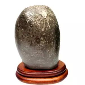 관상용 수석 석 돌 수집품 오하라석 인테리어 표본 풍수