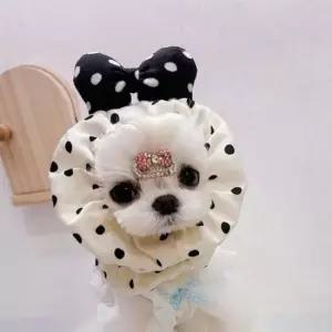 [반려] 헤어밴드 모자 강아지 머리밴드 머리띠 긴털 반려동물 WOW