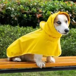 [반려] 비옷 망토 장마 우비 망고 강아지 판초 1P 2XL 대형견