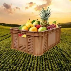 [JED] 농산물 컨테이너 마트용 다목적 수납함 박스 이사 대형