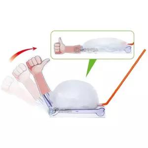 초등6 비닐봉지 빨때 팔근육 모형 만들기 근육움직임 체험수업 동아리 두뇌발달 학교