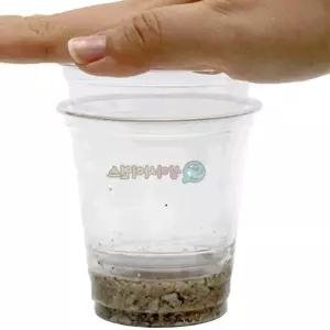 지층 퇴적 실험 퇴적암 형성 자갈 모래 5인용 체험학습 두뇌개발 발달장난감 과학교실